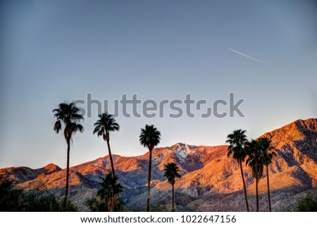 Palm Springs Mountains at Sunrise