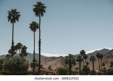 Palm Springs Resort In Los Angeles