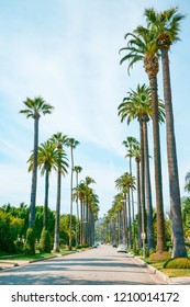 Palm Springs Road On Sunny Day. Los Angeles, California. 