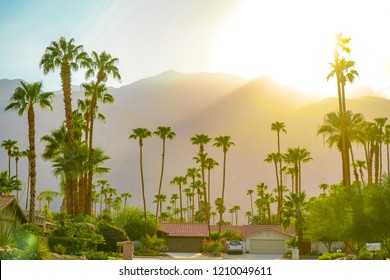 Palm Springs Sunset Day With Mountains And Palm Trees. Beautiful View Of Hollywood Hills.