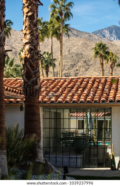 PALM SPRINGS, USA - FEBRUARY\
15 2018: View of the buildings surrounded by palm trees in\
california