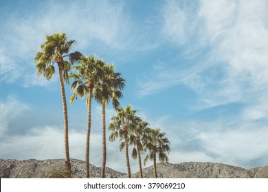 Palm Springs Vintage Movie Colony Palm Trees And Mountains
 Vintage Style Image Meant To Portray The Re-birth Of Palm Springs And It's Modernism And Style.