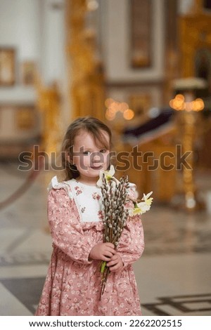 Similar – Image, Stock Photo sunday dress beautifully