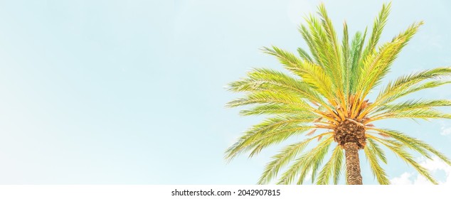 Stock Photo and Image Portfolio by Alicia G. Monedero | Shutterstock