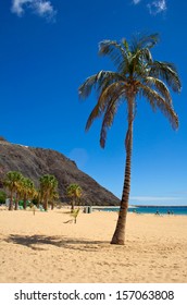 Palm tree and beach