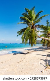 Palm tree bent over tropical beach, turquoise ocean, sand, blue sky, Seychelles islands