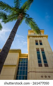 Palm Tree And Building At Chapman University, In Orange, California.