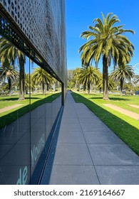 Palm Tree By The De Young Museum In San Francisco, California