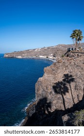 A palm tree casts a shadow on a rocky cliff overlooking the ocea
