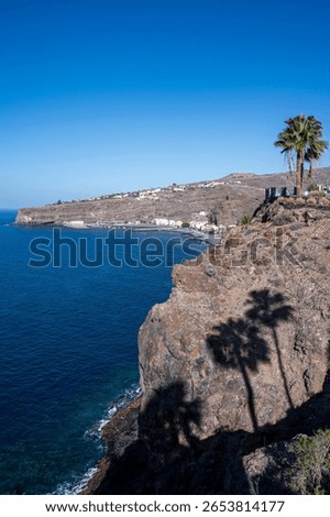 A palm tree casts a shadow on a rocky cliff overlooking the ocea