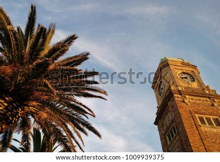 palm tree and clock tower in stkilda, melbourne, australia
