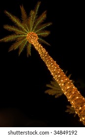 Palm Tree Covered In Festive Christmas Lights Shot At Night.