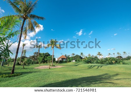 Palm tree in the golf course