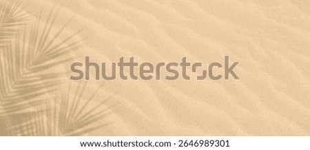 Palm tree leaf shadow on sand background, Natural shadow from tropical coconut palm leaves on beach sand. top view, copy space. Summer vacation concept. Mockup for product or travel background