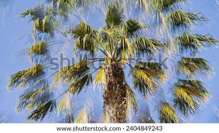 Palm tree leaves against hazy blue sky, creating an abstract impression with kaleidoscopic effect