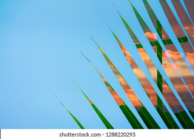 Palm Tree Leaves Raise Up On Blue Sky With Holy Cross On Sunset Background.The Cross Symbol Of Christian And Jesus Christ.Good Friday And Easter Day Concept.The Feast Of Corpus Christi Concept.holy.