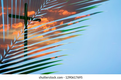 Palm Tree Leaves Raise Up On Blue Sky With Holy Cross On Sunset Background.The Cross Symbol Of Christian And Jesus Christ.Good Friday And Easter Day Concept.The Feast Of Corpus Christi Concept.