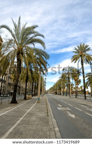 Similar – Image, Stock Photo Ramblas Sky Tree