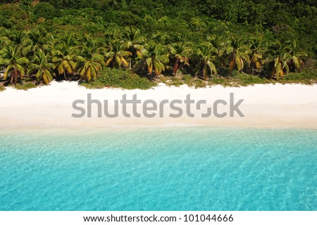 Palm tree lined beach
