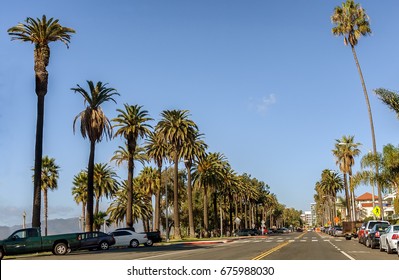 Palm Tree Lined Ocean Avenue And Palisades Park In Santa Monica, California