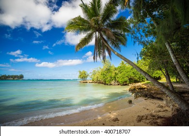 Hawai Beach Images Stock Photos Vectors Shutterstock