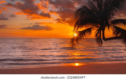 palm tree on the beach during sunset of beautiful a tropical beach - Powered by Shutterstock