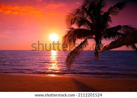 palm tree on the beach during sunset of beautiful a tropical beach on pink sky background