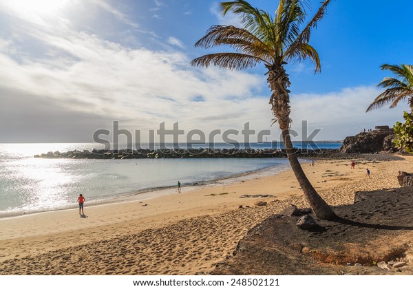 Palm Tree On Flamingo Beach Playa Stock Photo Edit Now 248502121