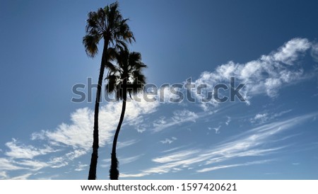 Similar – Venice Beach