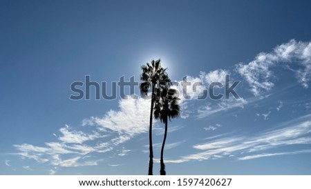 Similar – Venice Beach