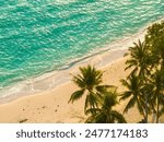 Palm tree on tropical beach.  Tropical island beach. Island beach on tropical landscape. Beautiful sunset tropical beach. 