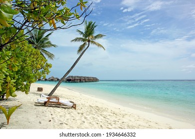 Palme auf weißem Sandstrand am Meer, Aussicht auf Reihe von Wasserbungalows