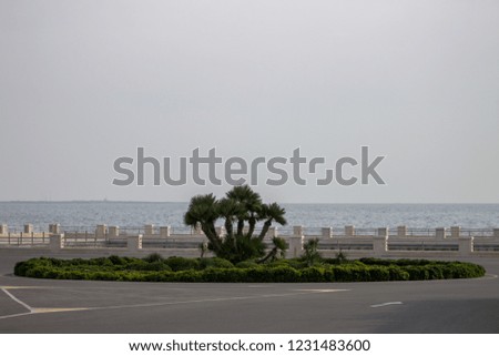 Similar – Image, Stock Photo phone alone Beach Italy