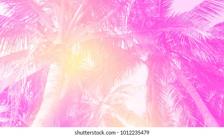 Palm tree pastel tone - Powered by Shutterstock