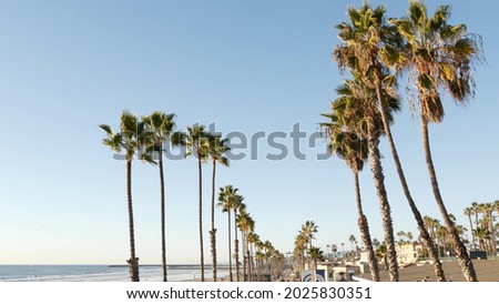 Palm tree perspective in Oceanside, California waterfront pacific ocean tropical beach resort, USA. Summertime sea coastline vacations. Palmtrees on beachfront seacoast boardwalk. Daytime blue sky.