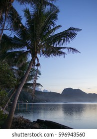 Palm Tree And Rainmaker Mountain At Sunset
