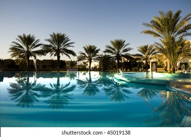 Palm Tree With Reflection On Blue Swimming Pool