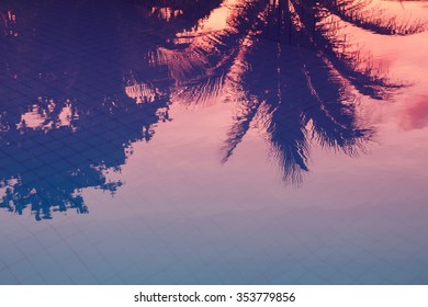 Palm Tree Reflection In Pool At Sunset