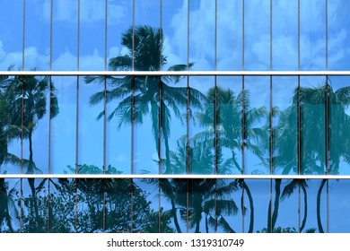 Palm Tree Reflection In Window Abstract