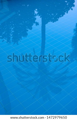 palm tree reflections in a swimmingpool with blue tiles