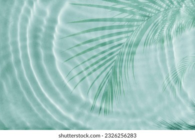 Palm tree shadow on a Blue water - Powered by Shutterstock