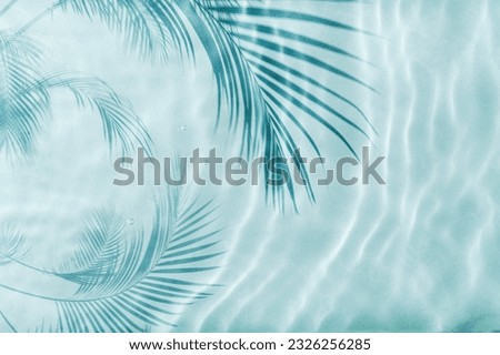 Palm tree shadow on a Blue water