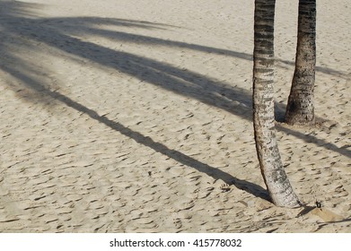 Palm tree shadow on sandy beach