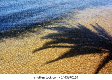 Palm tree shadow on shallow sea surface