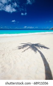 Palm Tree Shadow On Tropical White Sand Beach