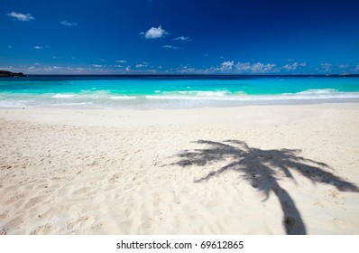 Palm Tree Shadow On Tropical White Sand Beach