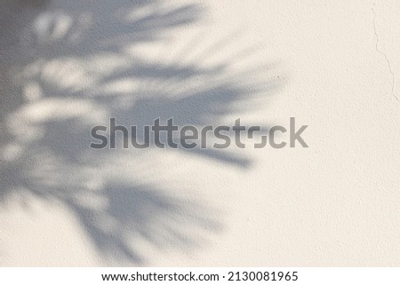 Palm tree shadows on beige concrete rough textured background. Dark silhouette of the exotic leaves in sunlight. Summer vacation, travel concept. Natural shadow overlay. Flat lay, top view. Copy space