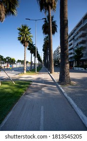 Palm Tree Shadows Playing Across The Venice Beach Bike Path At Sunrise.