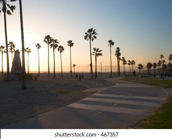 Palm Tree Shadows Playing Across The Venice Beach Bike Path At Sunset