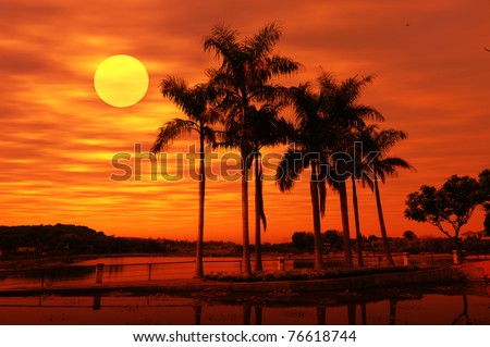 Palm tree silhouette on paradise sunset on the beach